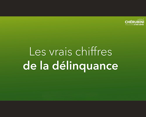 Les vrais chiffres de la délinquance